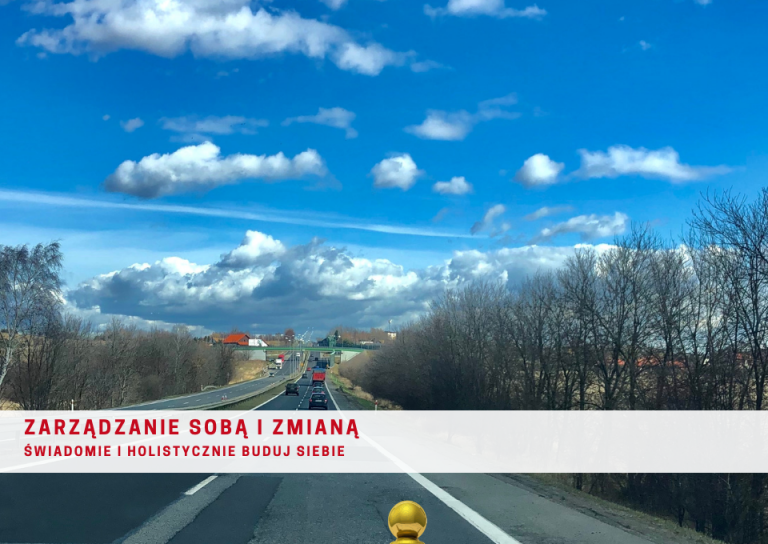 Jakie Czynniki Wpływają Na Proces Dyfuzji JAKIE CZYNNIKI WPŁYWAJĄ NA MOJE ZACHOWANIE (także te w stosunku do